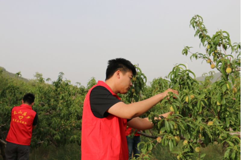 微信图片_2025-05-13_104251_131.jpg