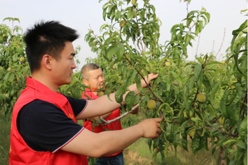 微信图片_2025-05-13_104304_317.jpg